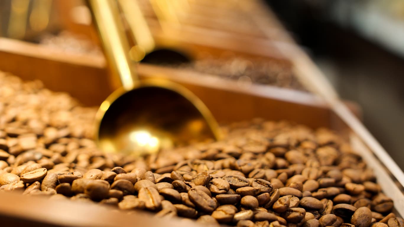 GOURMET ROASTED COFFEE